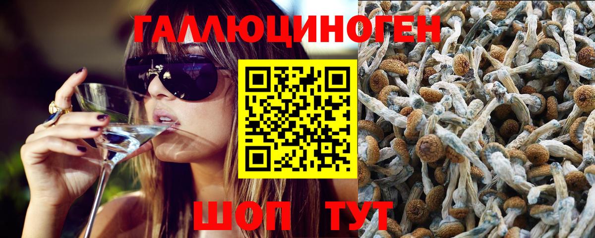 Галлюциногенные грибы прущие грибы Ливны