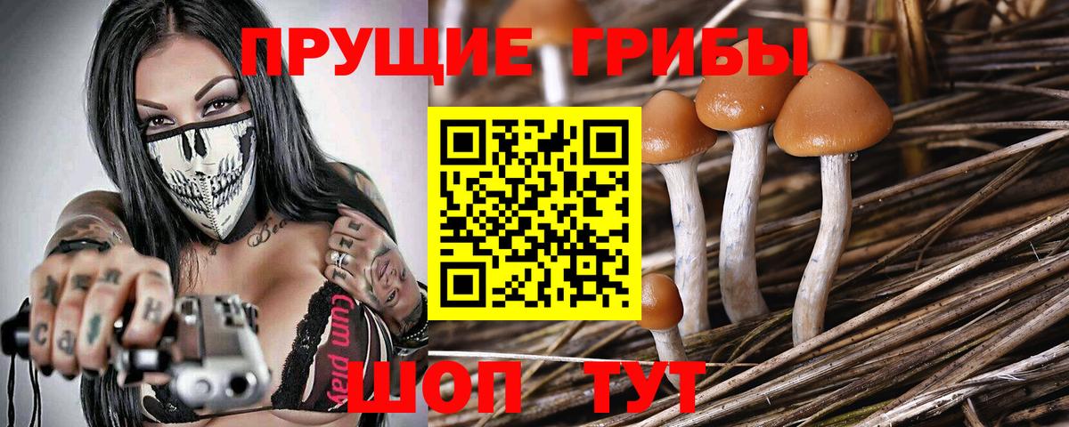 Ливны  Псилоцибиновые грибы Psilocybine cubensis  Вход с VPN  Галлюциногенные грибы Psilocybe 